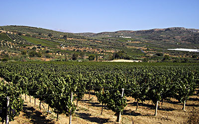 Γεωργία & κτηνοτροφία προστατευόμενων περιοχών