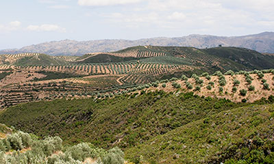 Νέο σύστημα ελέγχου προϊόντων ΠΟΠ – ΠΕΓ – ΕΠΙΠ