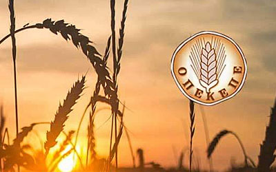 Αίτηση ενίσχυσης ΟΠΕΚΕΠΕ