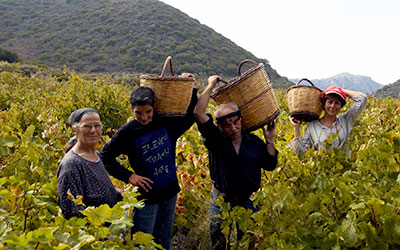 Αγροτουρισμός στην Κρήτη
