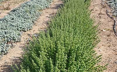 Υποβολή αιτήσεων ΟΣΔΕ