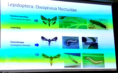 Ενημερωτικές εσπερίδες καλλιεργητών