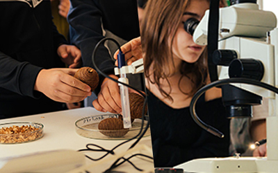 Τράπεζα Διατήρησης Δασικού Γενετικού Υλικού