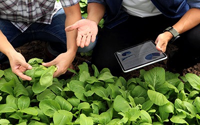 Υποτροφίες ΣΑΕΚ ΕΛΓΟ-ΔΗΜΗΤΡΑ