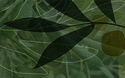 Ενημερωτική ημερίδα ΠΓΕ ελαιολάδου